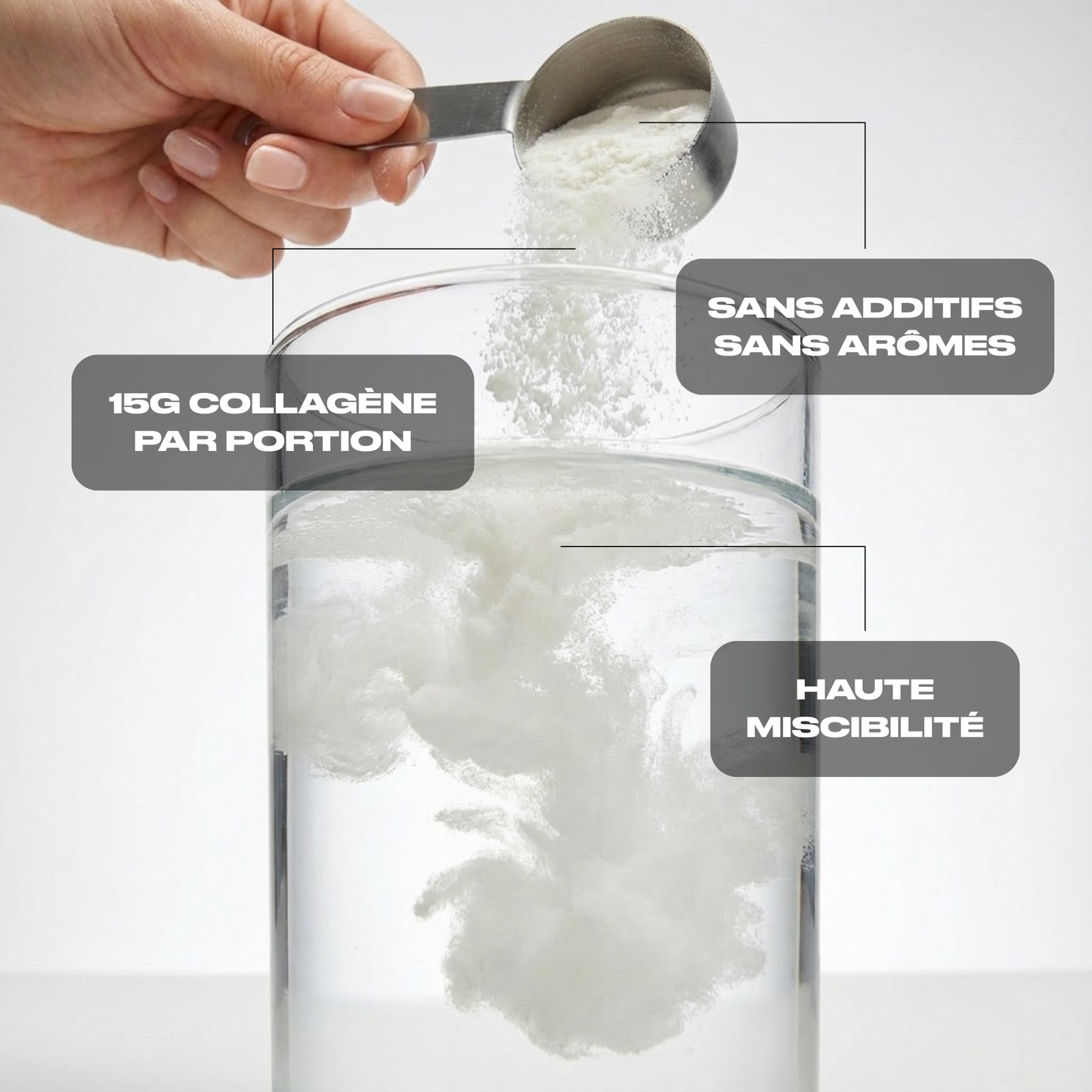 COLLAGÈNE BOVIN HYDROLYSÉ