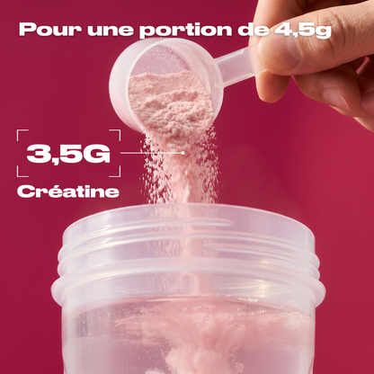CRÉATINE MONOHYDRATE FRAMBOISE