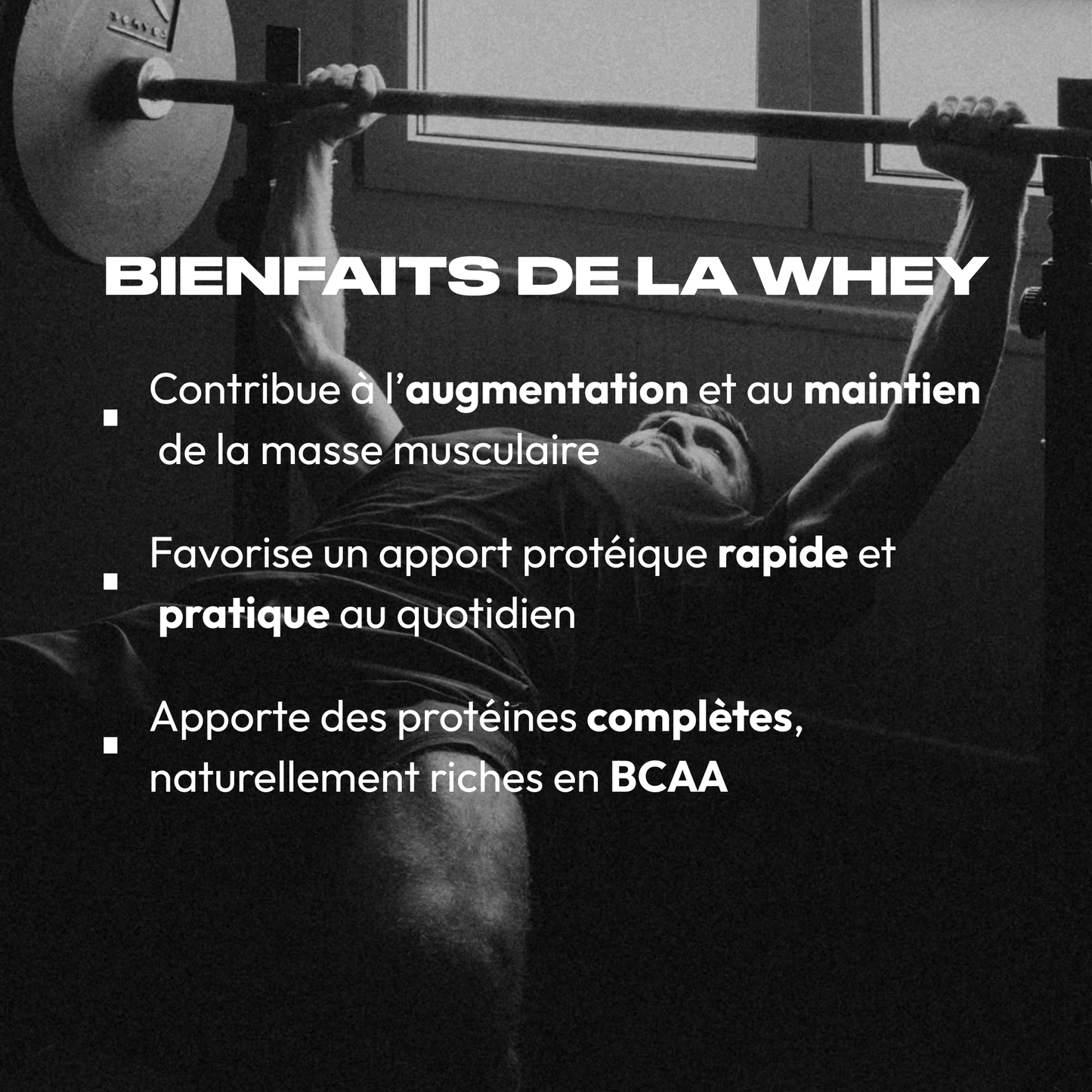 WHEY PROTEIN CHOCOLAT