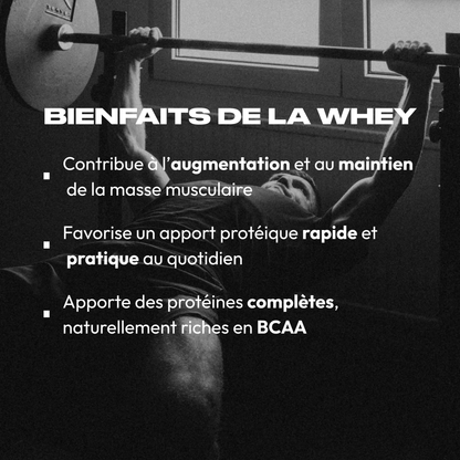 WHEY PROTEIN CHOCOLAT