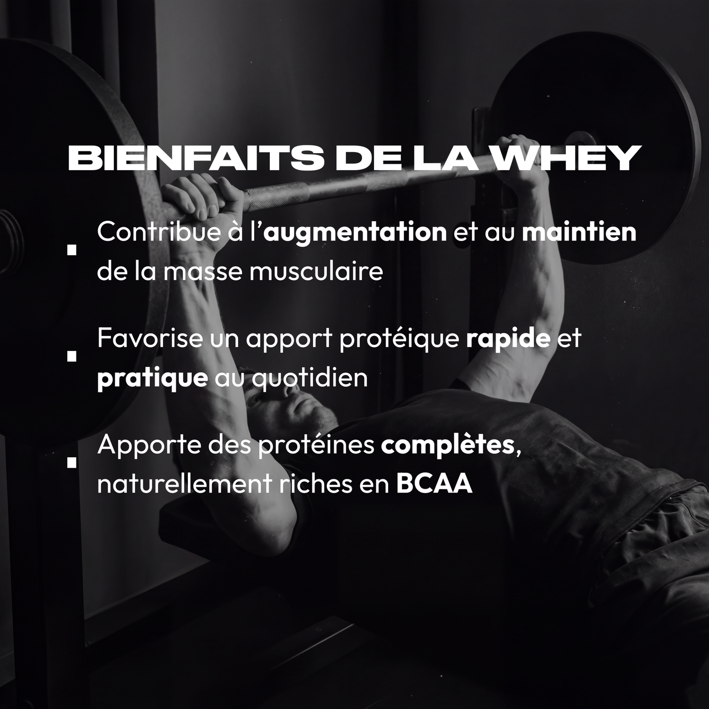 WHEY PROTEIN CHOCOLAT