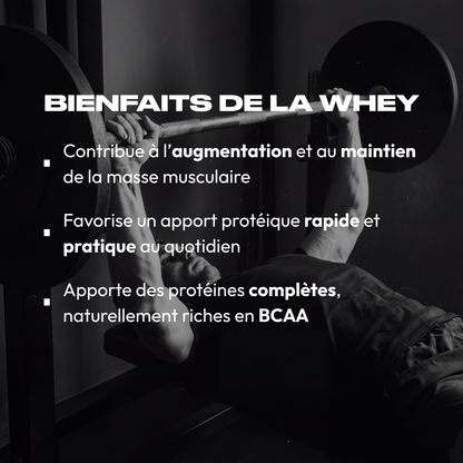 WHEY PROTEIN CHOCOLAT