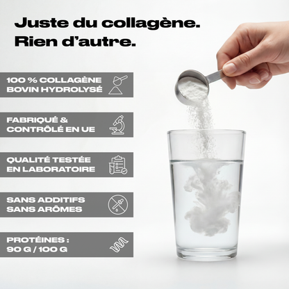 COLLAGÈNE BOVIN HYDROLYSÉ