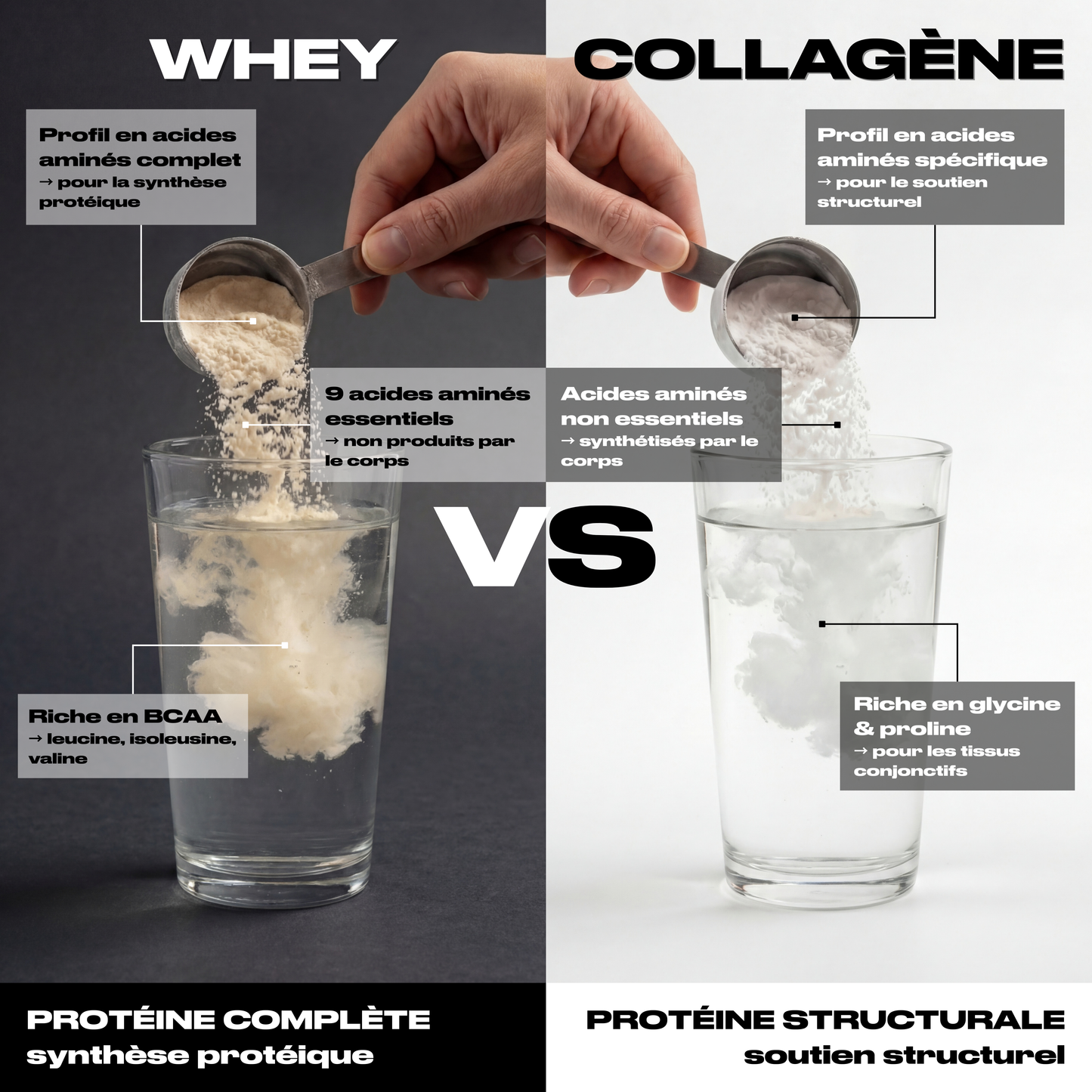 COLLAGÈNE BOVIN HYDROLYSÉ