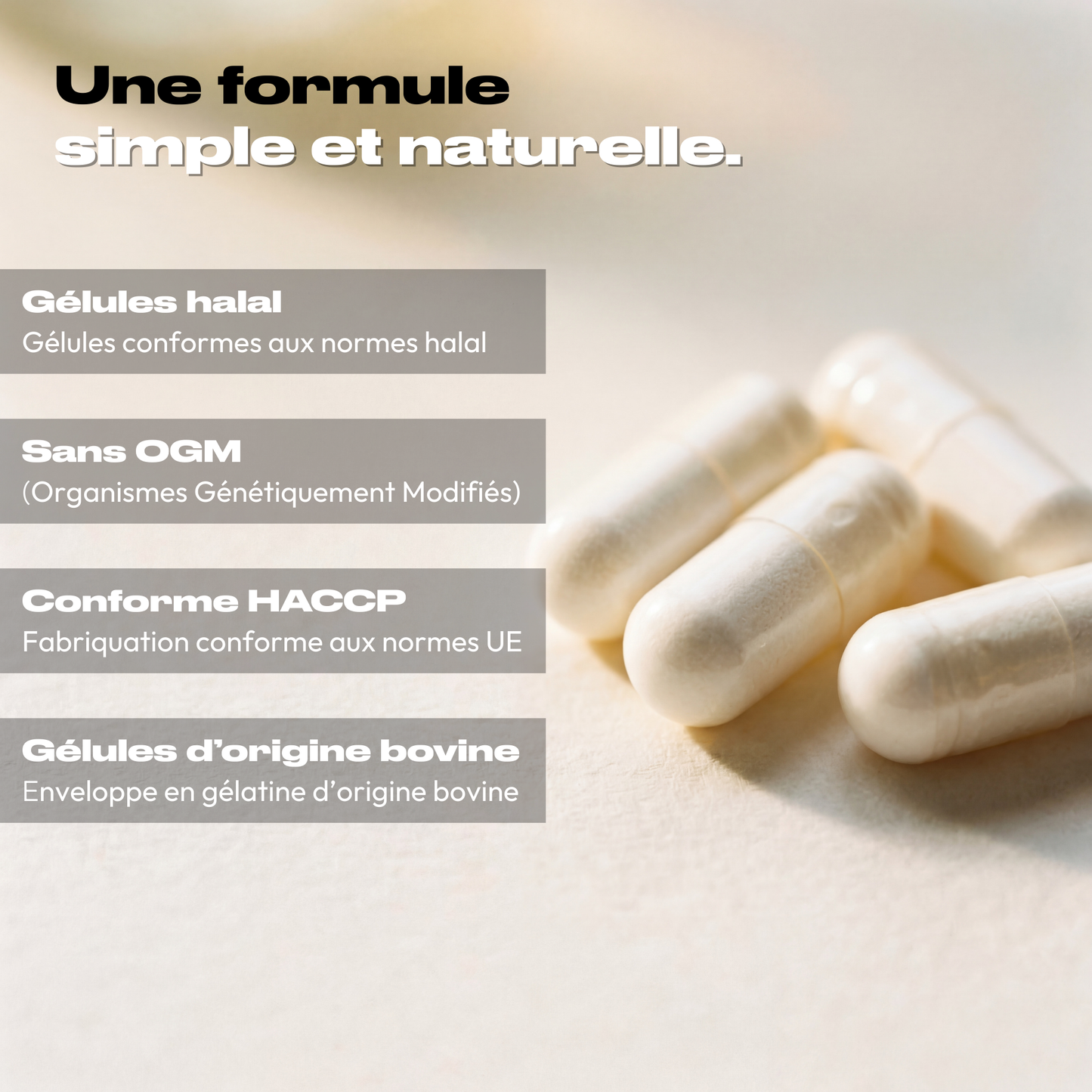 COMPLEXE MULTIVITAMINES