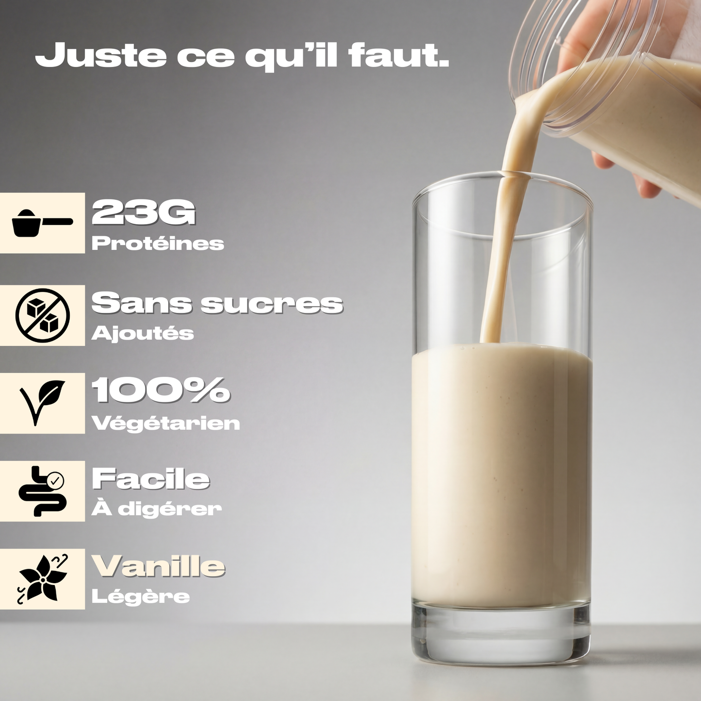 WHEY PROTEIN VANILLE