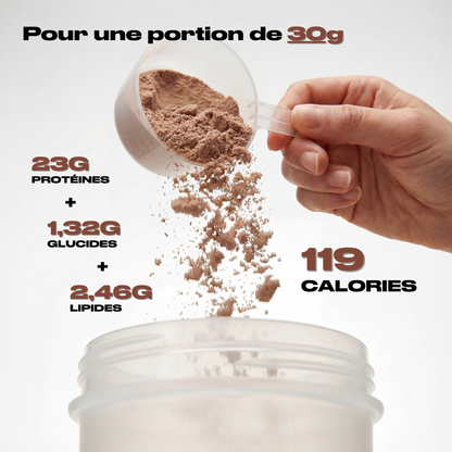 WHEY PROTEIN CHOCOLAT