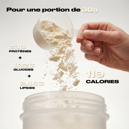 WHEY PROTEIN VANILLE